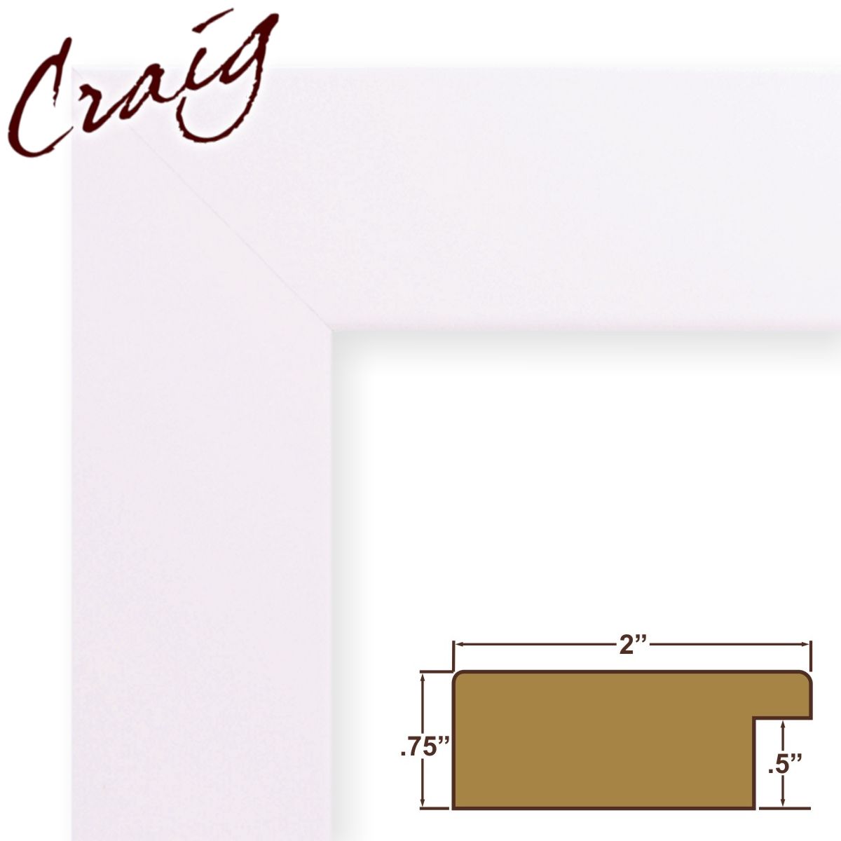 Craig Frames Inc 17x20 Custom 2 Craig Frames Inc 17x20 Custom 2