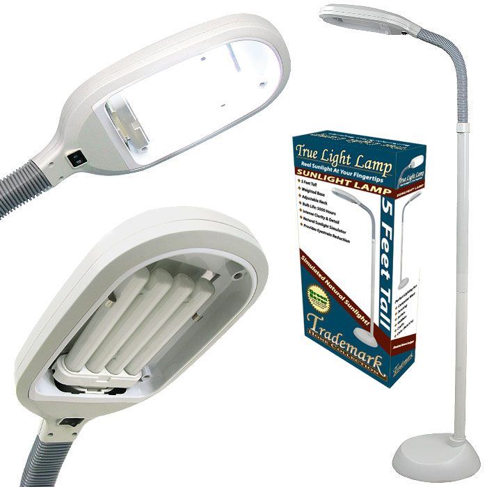 Trademark Home Sunlight Floor Lamp 5 Feet at Sears.com