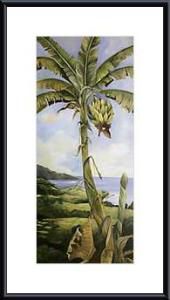 Bananas at Cook's Landing ,Framing: black metal, white matte