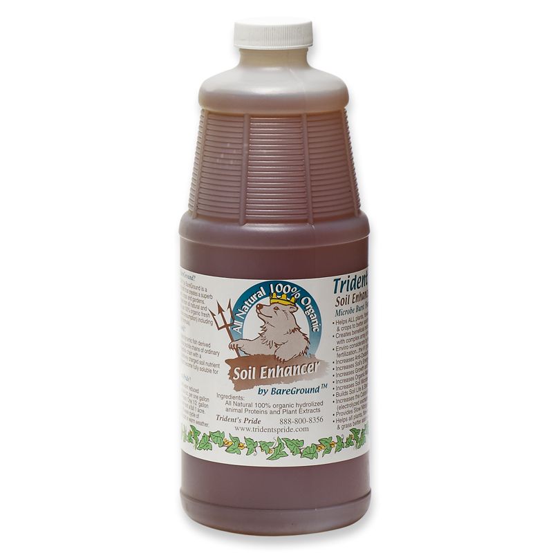 Trident's Pride TridentsQuart at Kmart.com