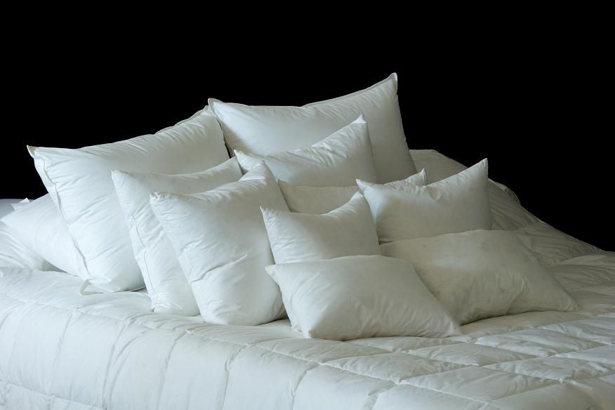 DownTown Pillow Insert 17"x18" at Kmart.com