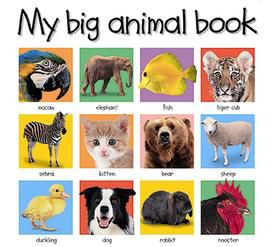 My Big Animal Book at mygofer.com