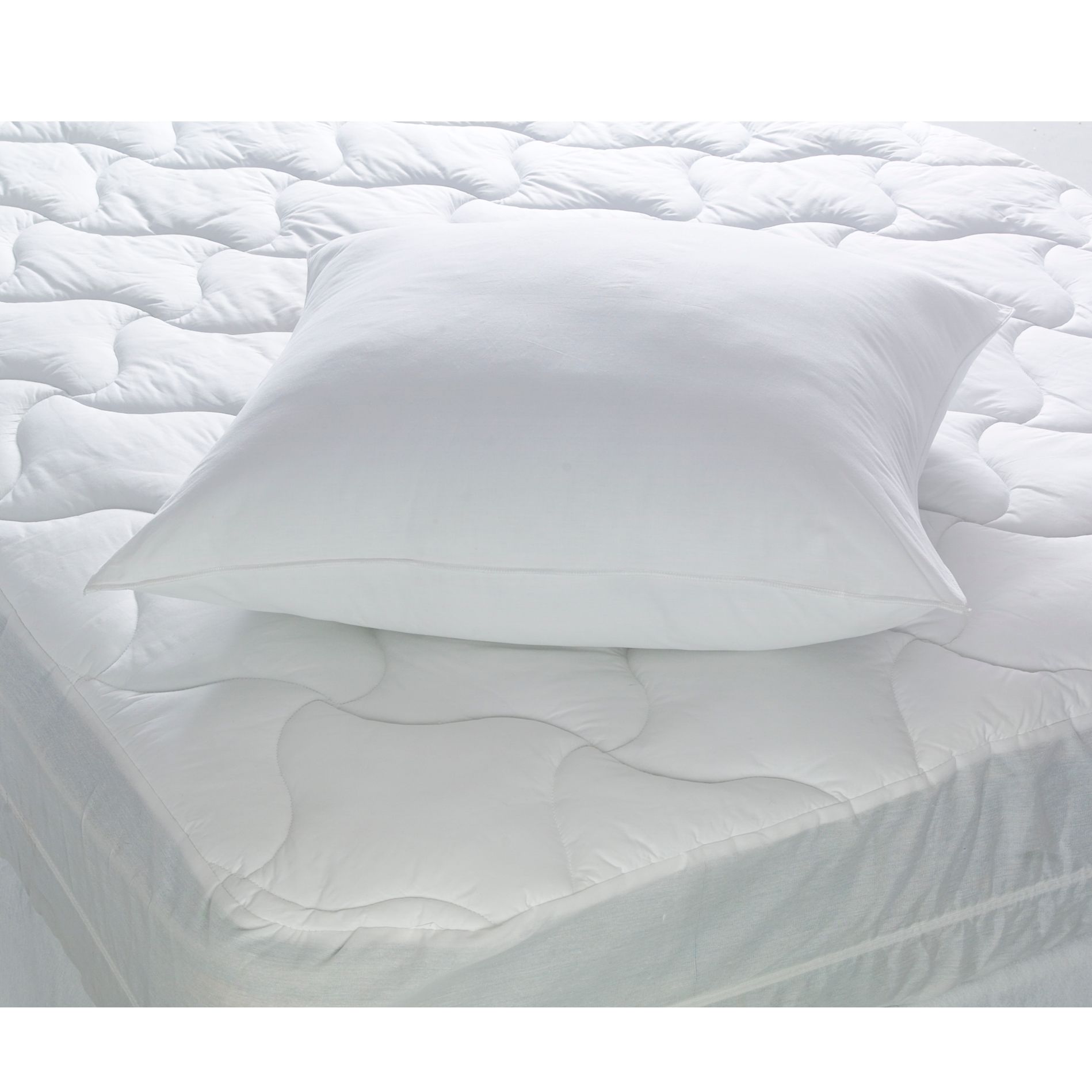 Cannon Euro Pillow at Sears.com