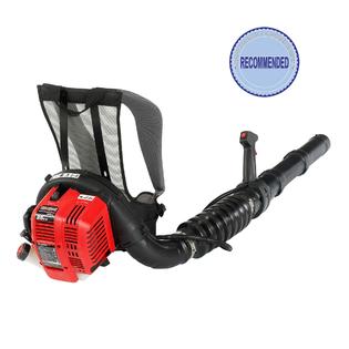 lowes craftsman backpack blower