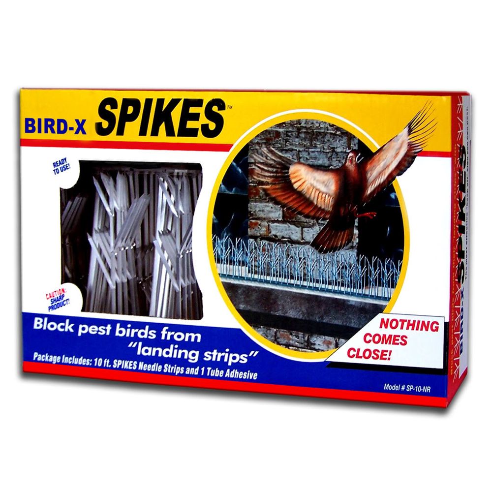 Bird-X Bird Spikes Kit with Glue at Sears.com