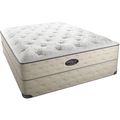 Blanche Plush Firm Queen Mattress