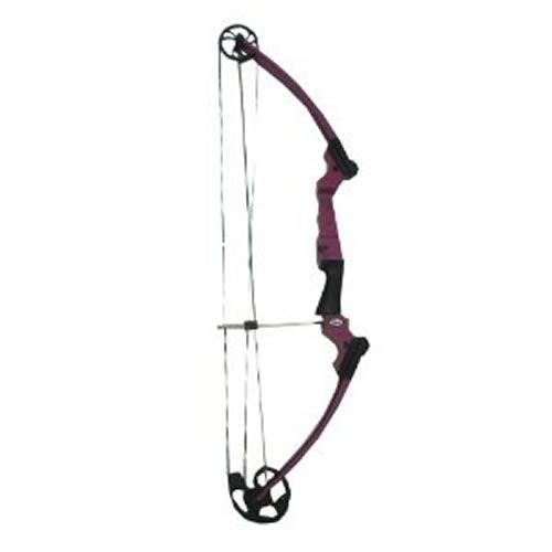 Genesis Original Bow Purple Left Hand 10477 at Kmart.com