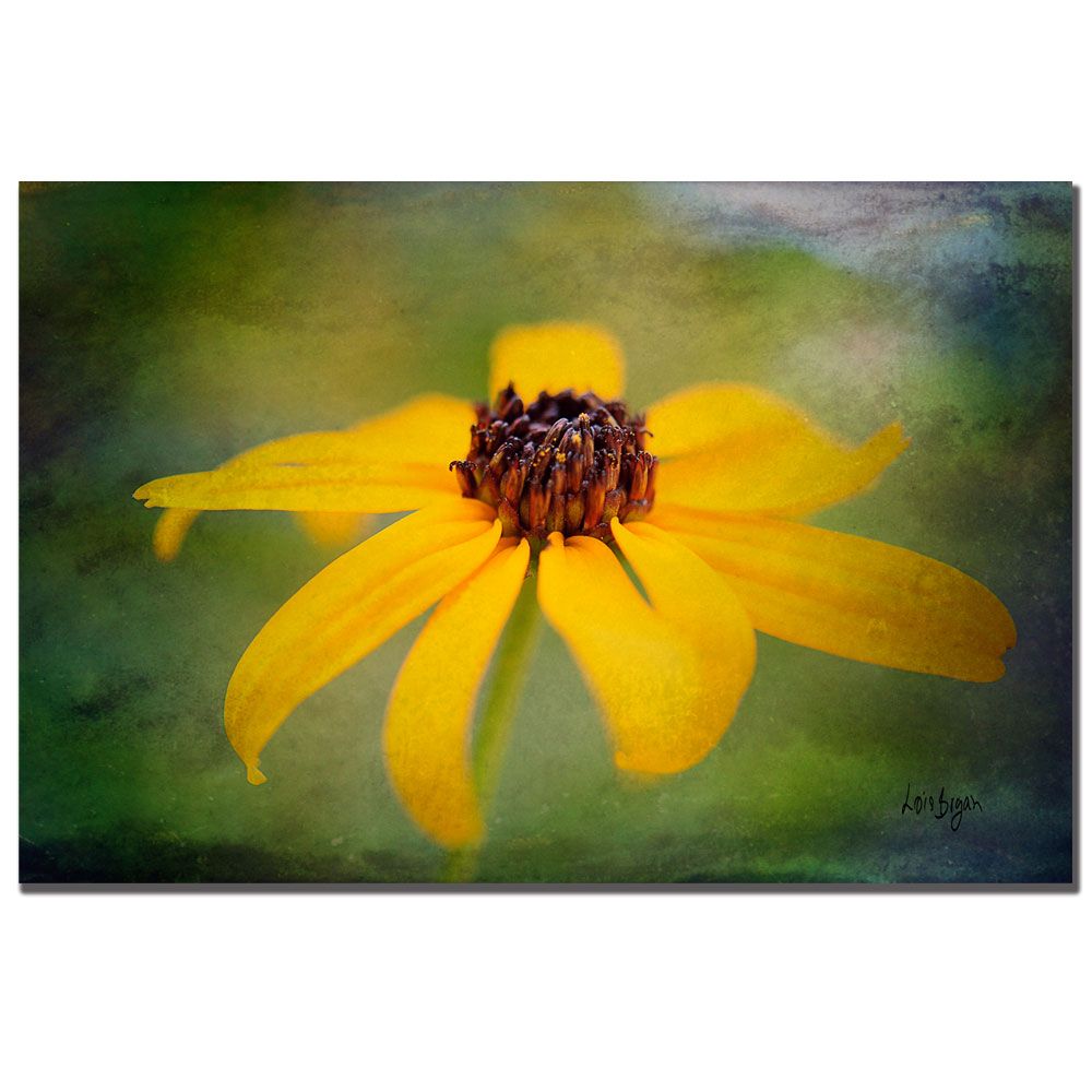 Trademark Art 16x24 inches 