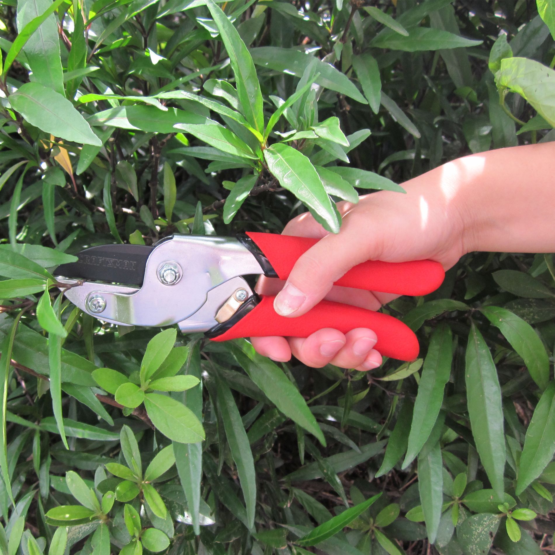 Craftsman Anvil Pruner