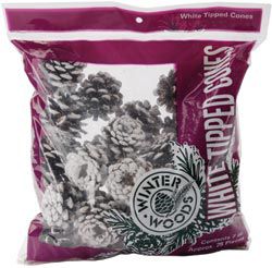Winter Woods White Tipped Red Pine Cones at Kmart.com