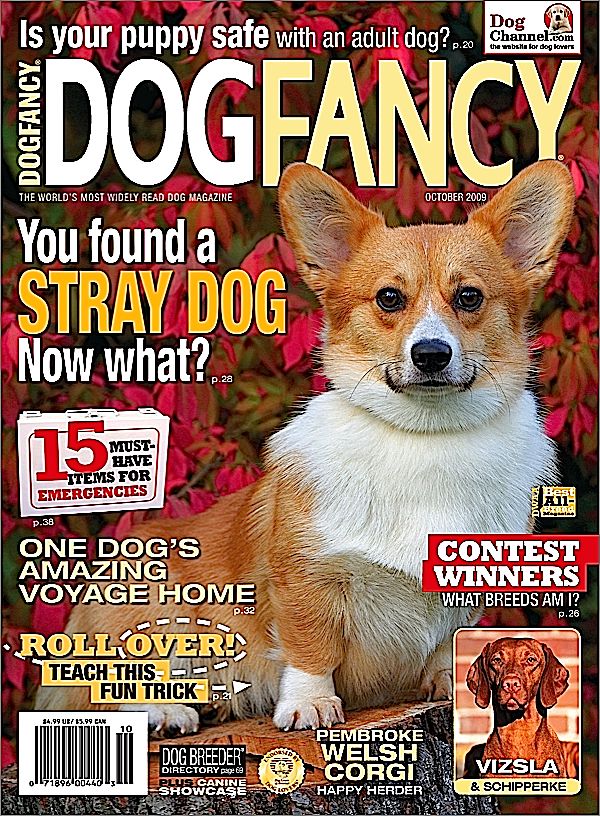 Dog Fancy Magazine