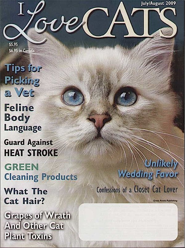 I Love Cats Magazine at Kmart.com