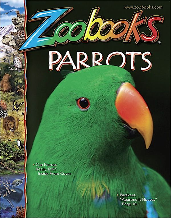 Zoobooks Magazine at Kmart.com