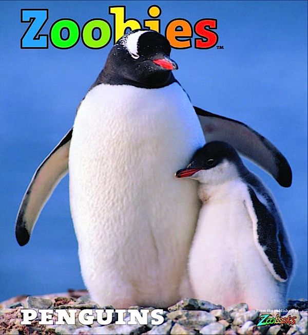 Zoobies at Kmart.com