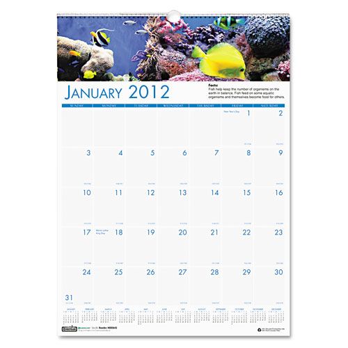 House of Doolittle Monthly Wall Calendar at Kmart.com