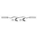 Olympic-Sized Curl Bar