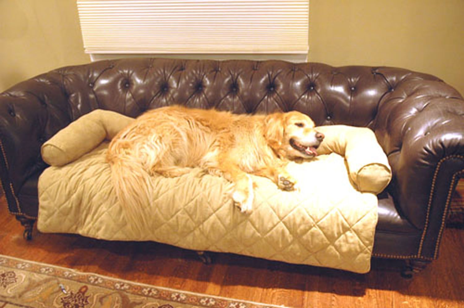 Carolina Pet Large Protector Pad with Bolster - Sage at Kmart.com