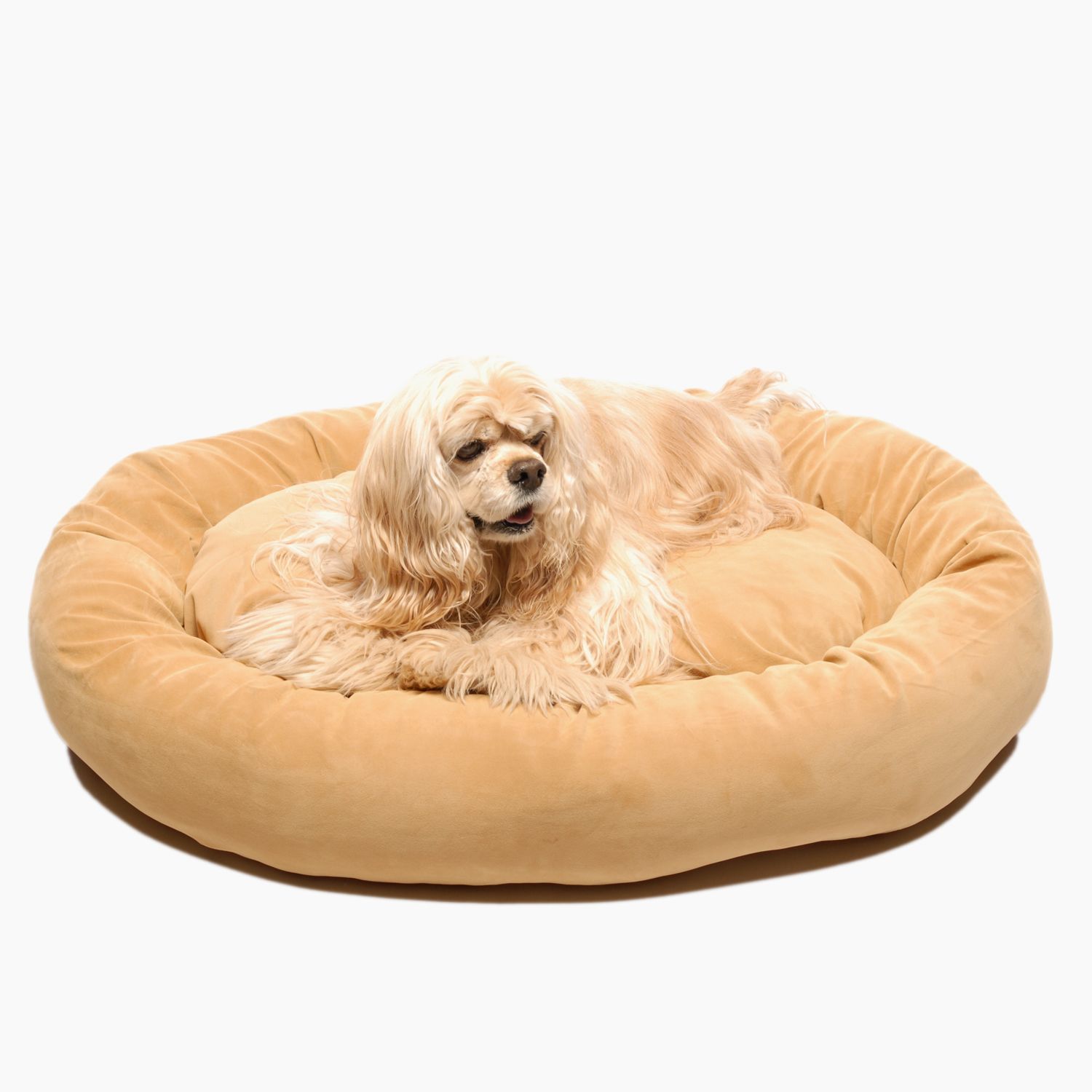 Carolina Pet Medium Microfiber Bagel Bed - Carmel at Kmart.com