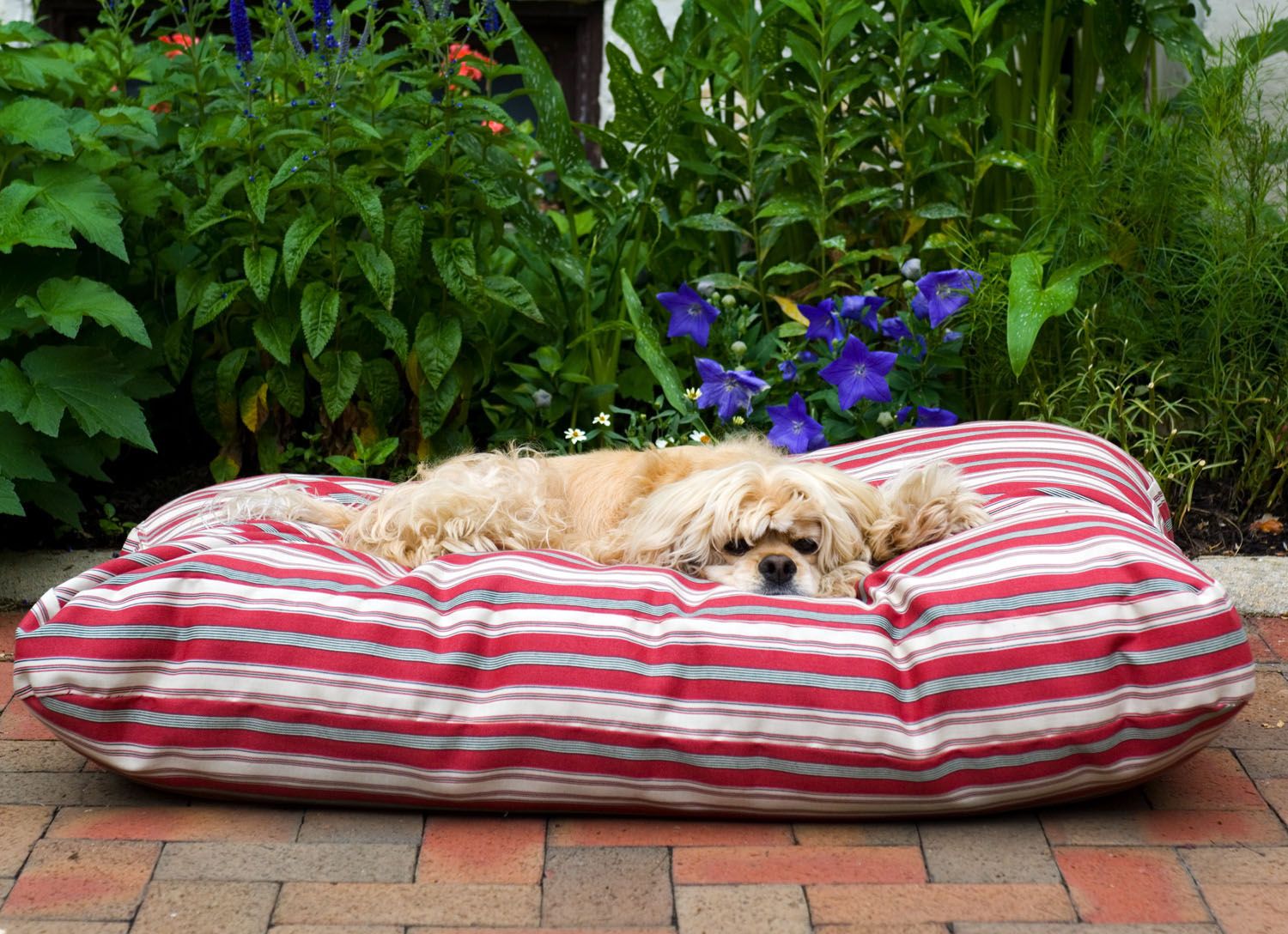 Carolina Pet Medium Indoor/ Outdoor Striped "Jamison" - Red at Kmart.com