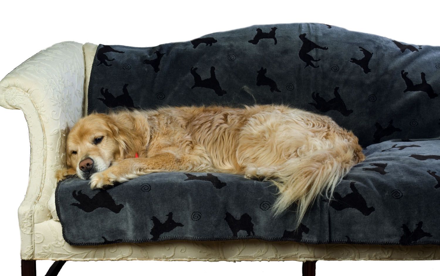 Carolina Pet Medium Plush Embossed Tossed Dog Throw - Gray at Kmart.com
