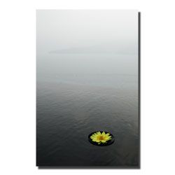 Trademark Art 20x30 inches Kurt Shafer 