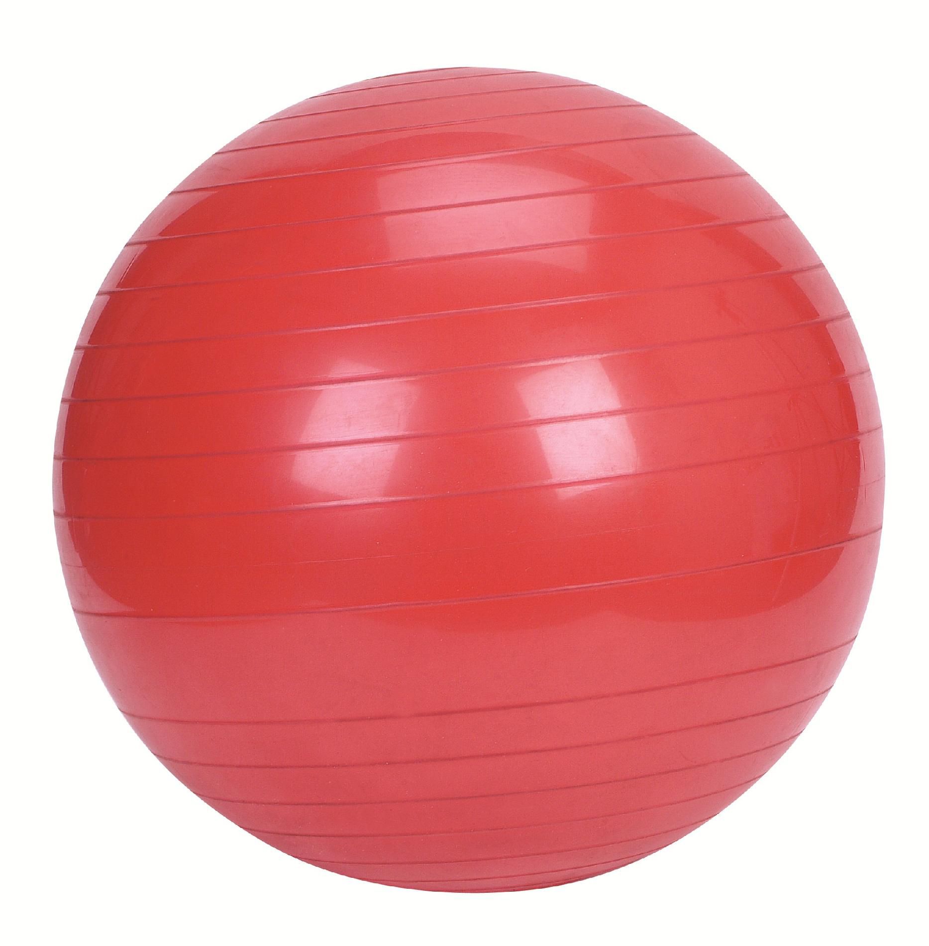 Weider 55cm Stability Ball Fitness & Sports Fitness & Exercise
