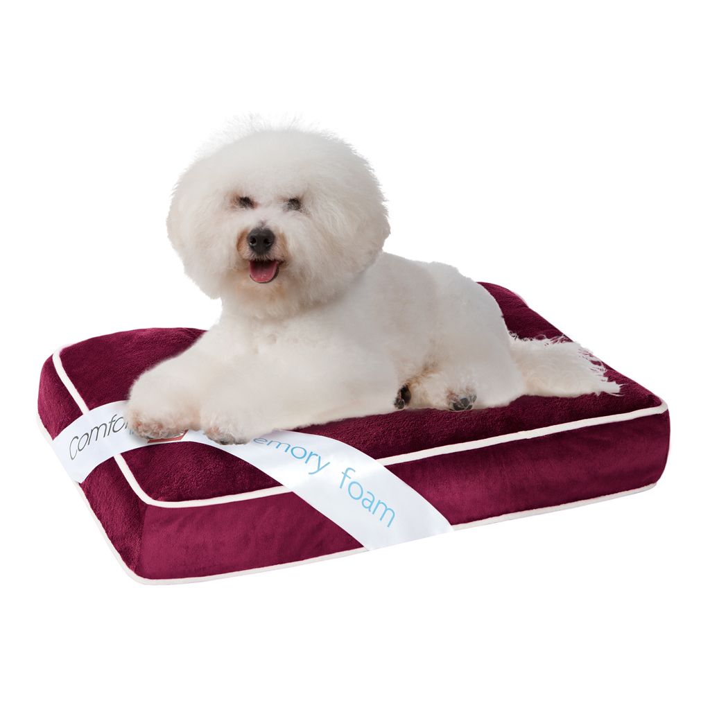 Simmons Comforpedic Deep Red 20x30x4" Memory Foam Orthopedic Napper at Kmart.com