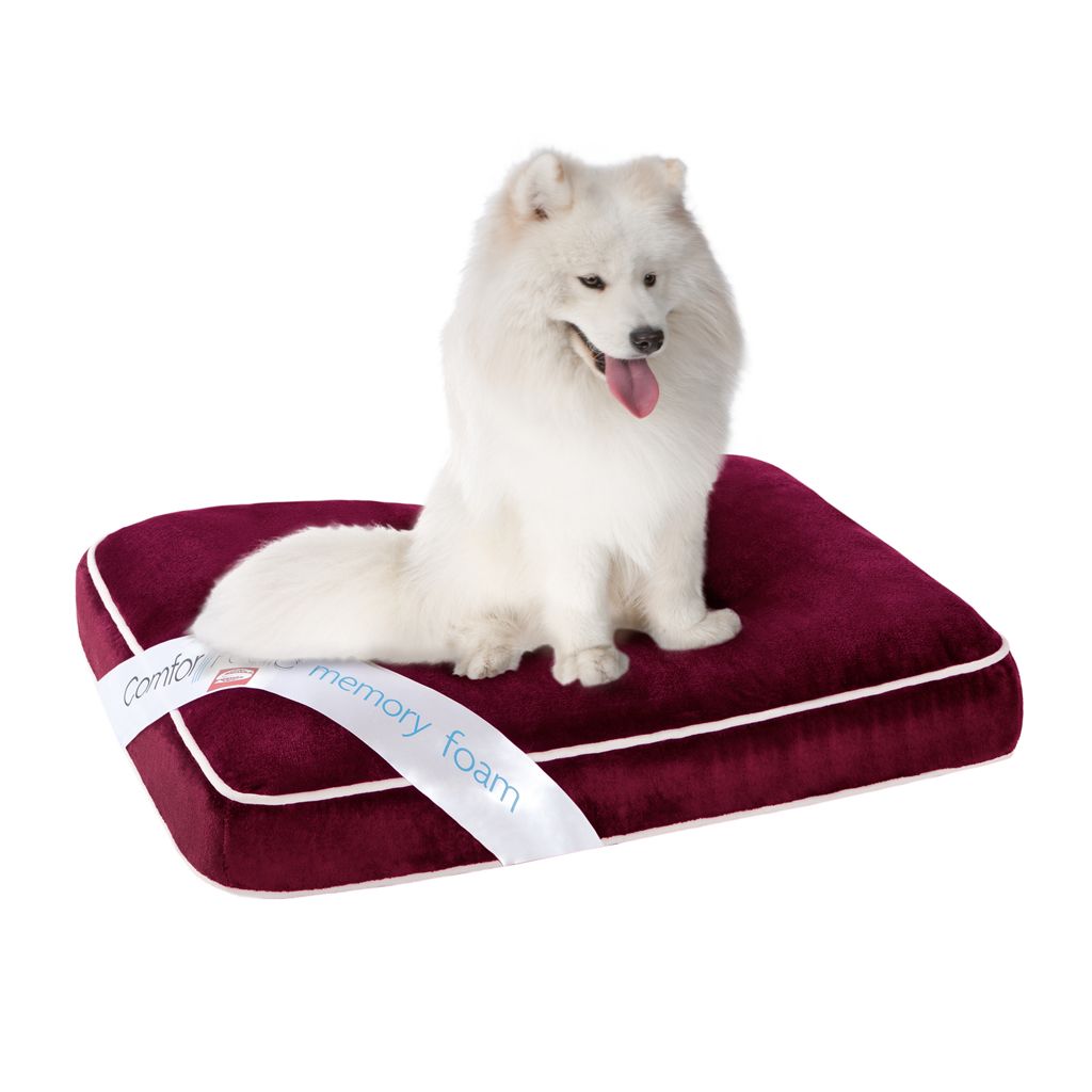 Simmons Comforpedic Deep Red 27x36x4" Memory Foam Orthopedic Napper at Kmart.com
