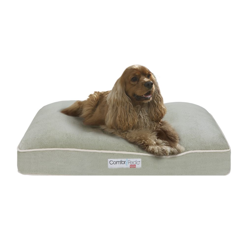 Simmons Comforpedic Silver Green 20x30x4" Memory Foam Orthopedic Napper at Kmart.com