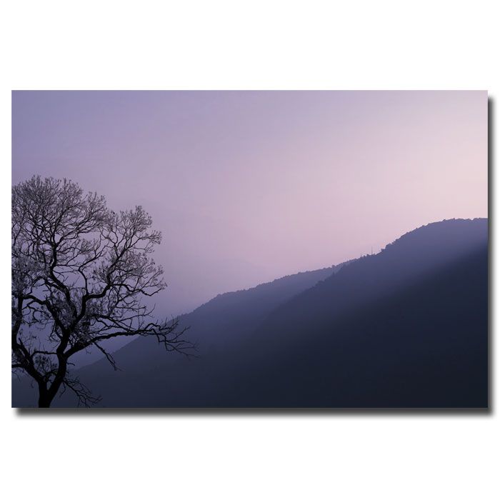Trademark Fine Art 22x32 inches Philippe Sainte Laudy "Purple Hours" at Sears.com