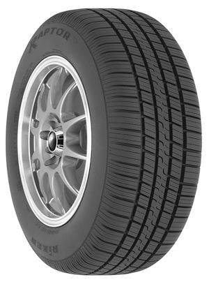 Riken Raptor - 205/50R17XL V BW - All Season Tire at Sears.com