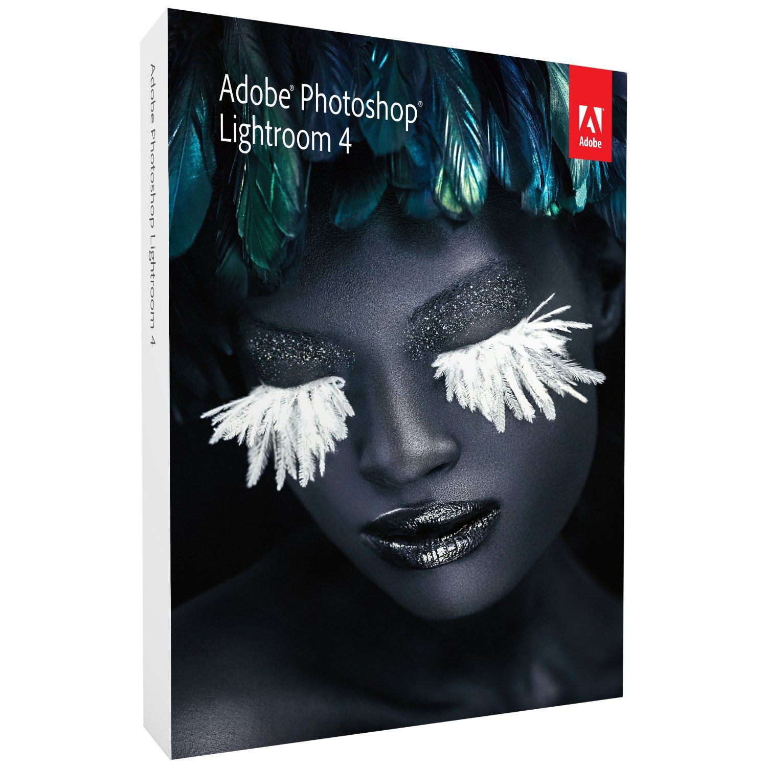 Adobe Lightroom V4 Upgrade Package for Windows and Mac at Kmart.com