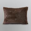 Desert Dreams Decorative Pillow