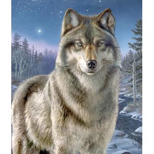 Paint By Number Artist's Collection 9"X12"-Night Watch - For the