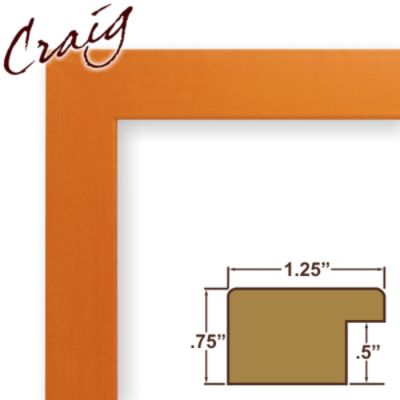 Craig Frames Inc 24" x 36" Orange Smooth Finish 1.25 Inch Wide Picture Frame (26028) at Kmart.com