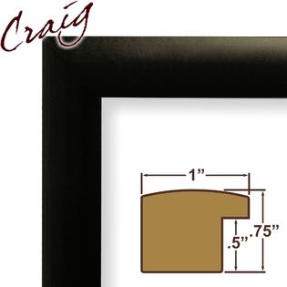 Craig Frames Inc 13x19 Contemporary Black Poster Frame (1WB3BK)