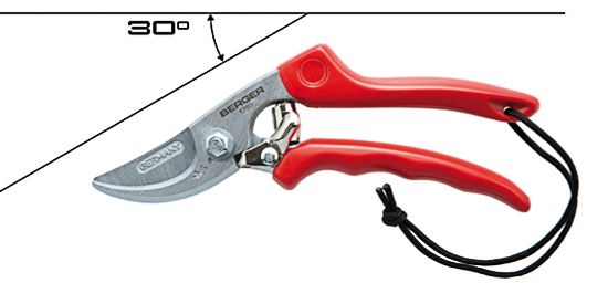 30 Degree Gardening Shears  with Wrist Loop - BR1750