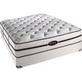 Ellet II Firm Twin Mattress