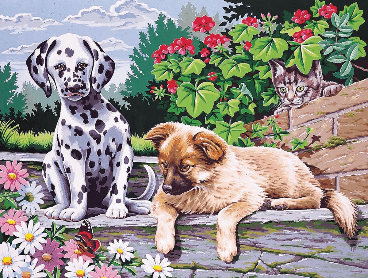 Paint By Number Kit 12