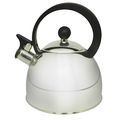 2 lt Stainless Steel Tea Kettle