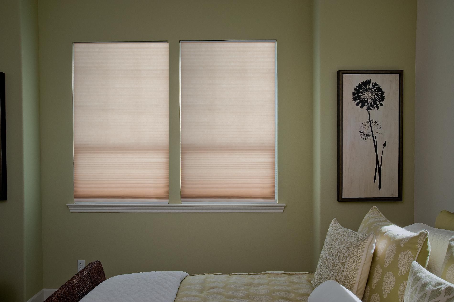 Easy Lift Trim at Home 48" x 64" Cordless Light Filtering Cellular Shade Natural
