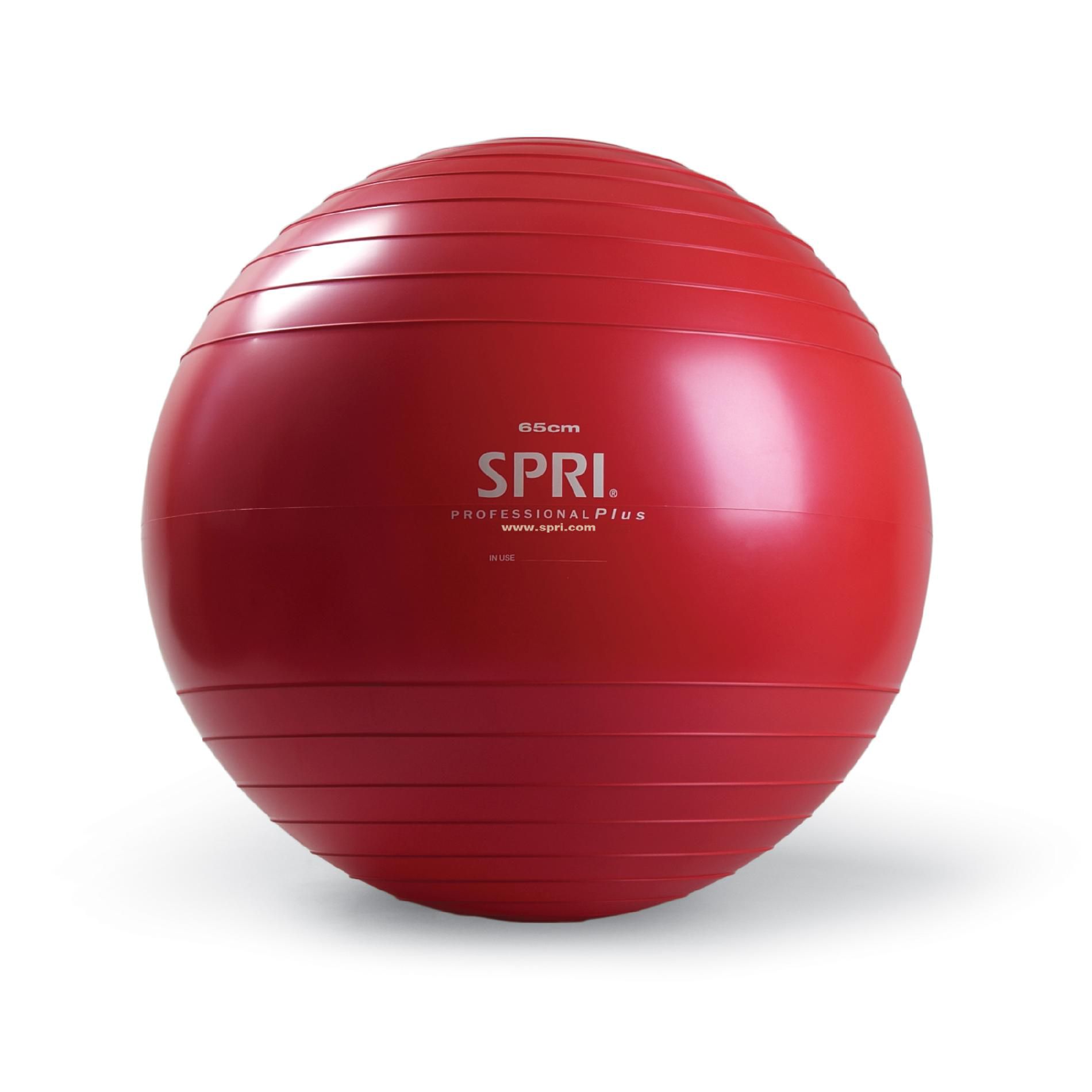 SPRI Total Body Exercise Ball - 65cm at Kmart.com