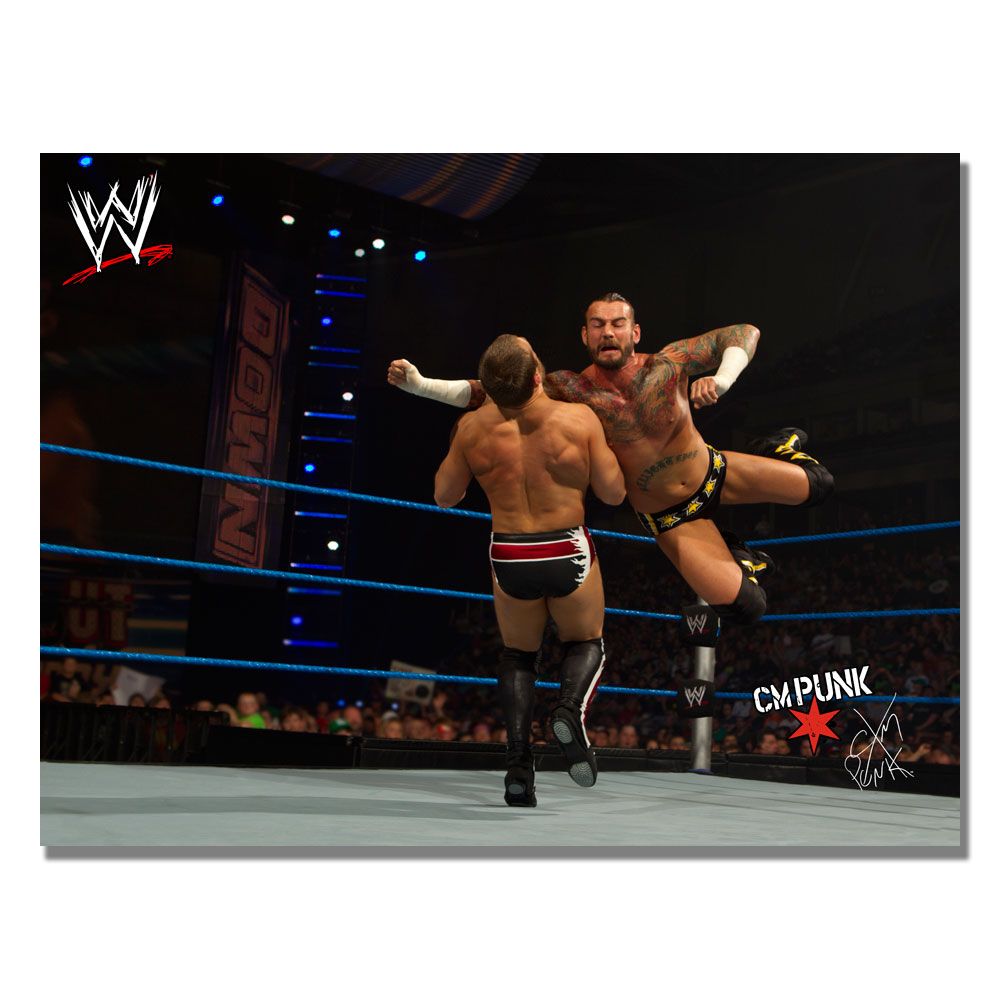 Officially Licensed WWE CM Punk Canvas Art