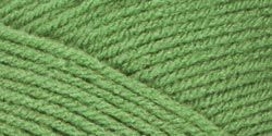 Coats & Clark Yarn Red Heart Super Saver Yarn Tea Leaf at Kmart.com