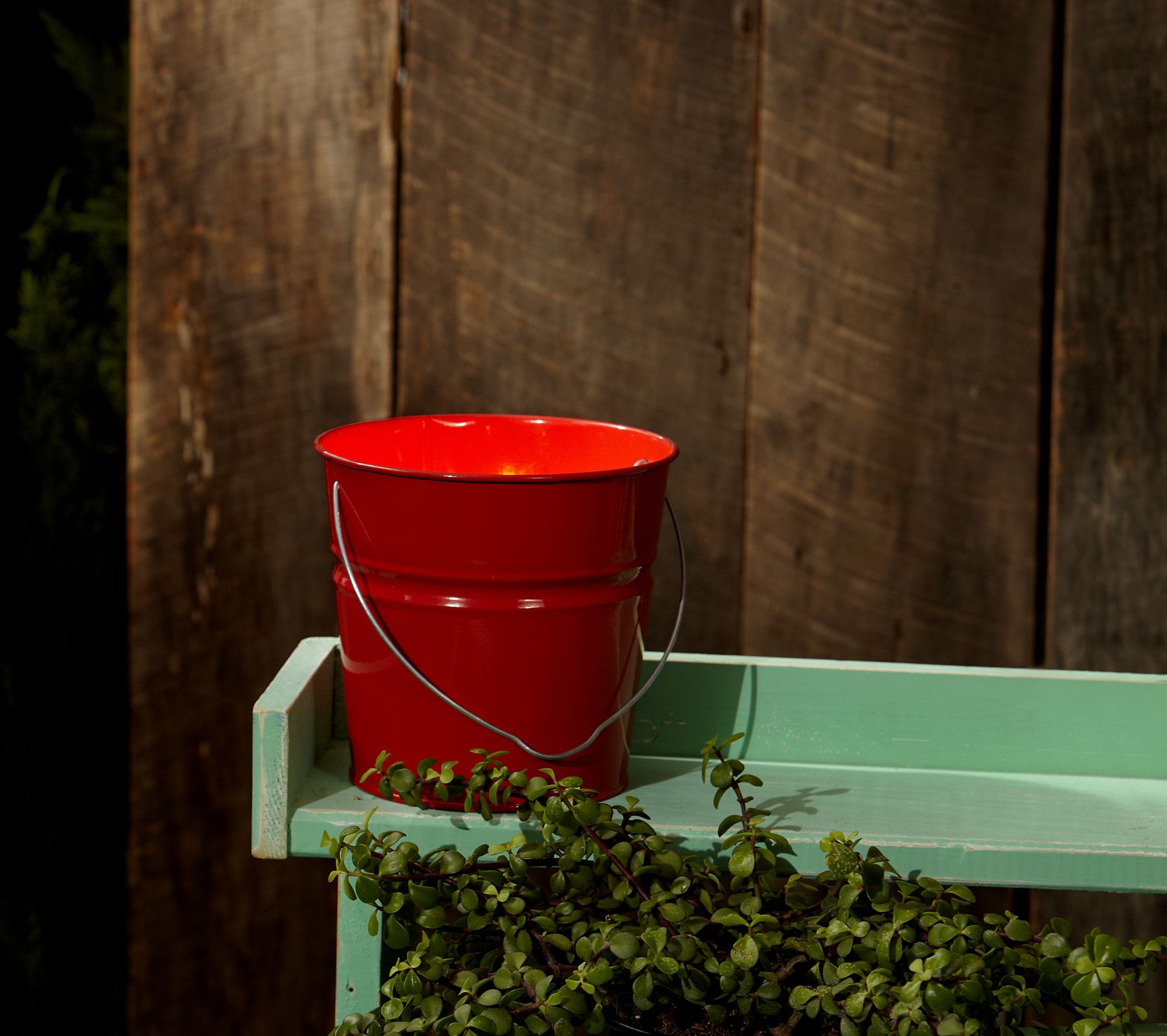 Garden Oasis Citronella bucket - Red at mygofer.com