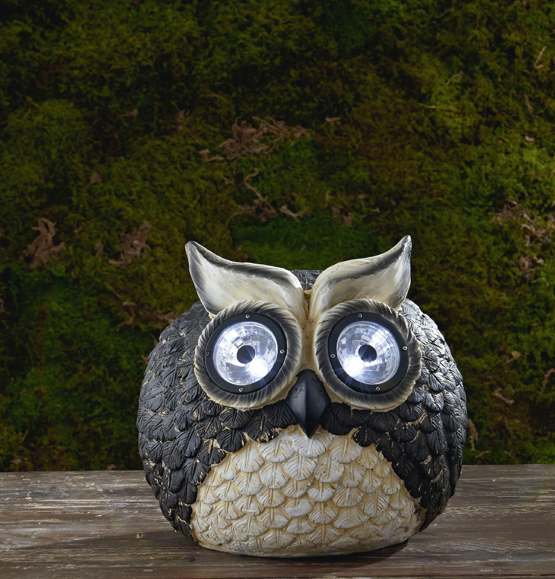 Garden Oasis Owl with Solar Spotlight Eyes at Sears.com