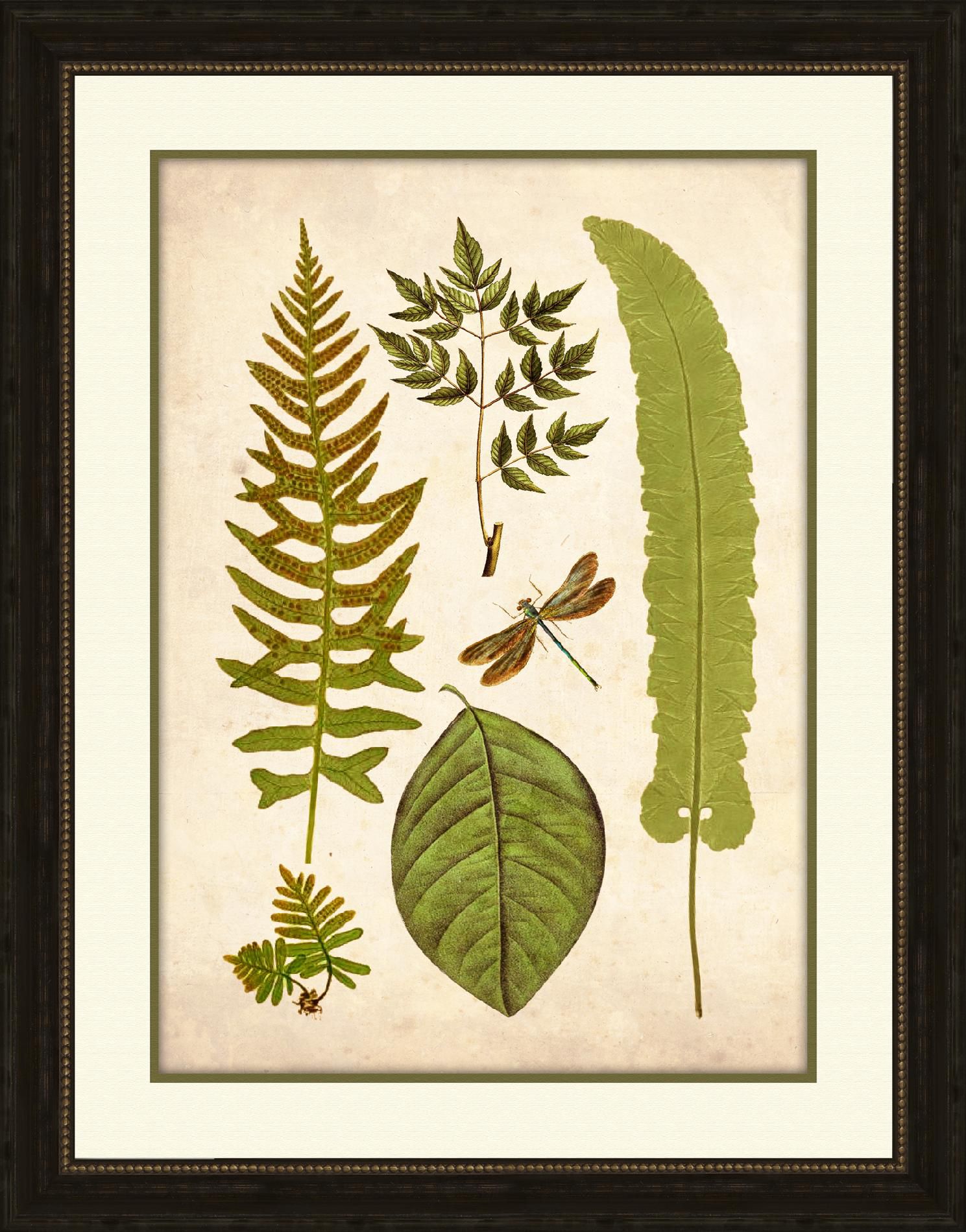 Green Leaf Botanicals C at Kmart.com