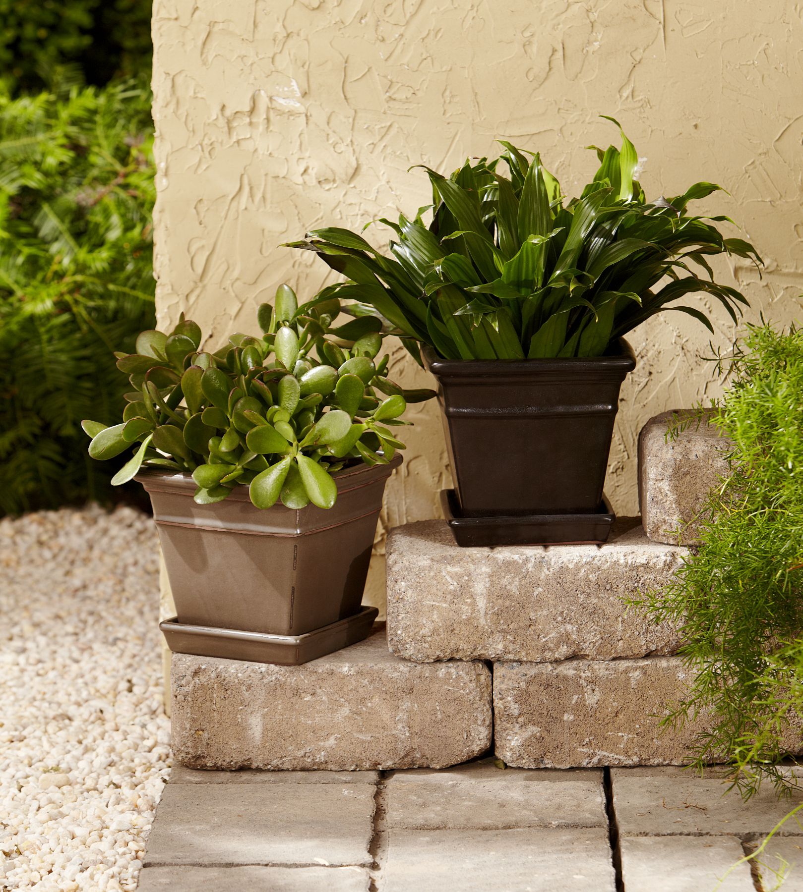 Jaclyn Smith Today 7.5in Square Pot with Saucer - Brown with Bronze Rubbing at Kmart.com