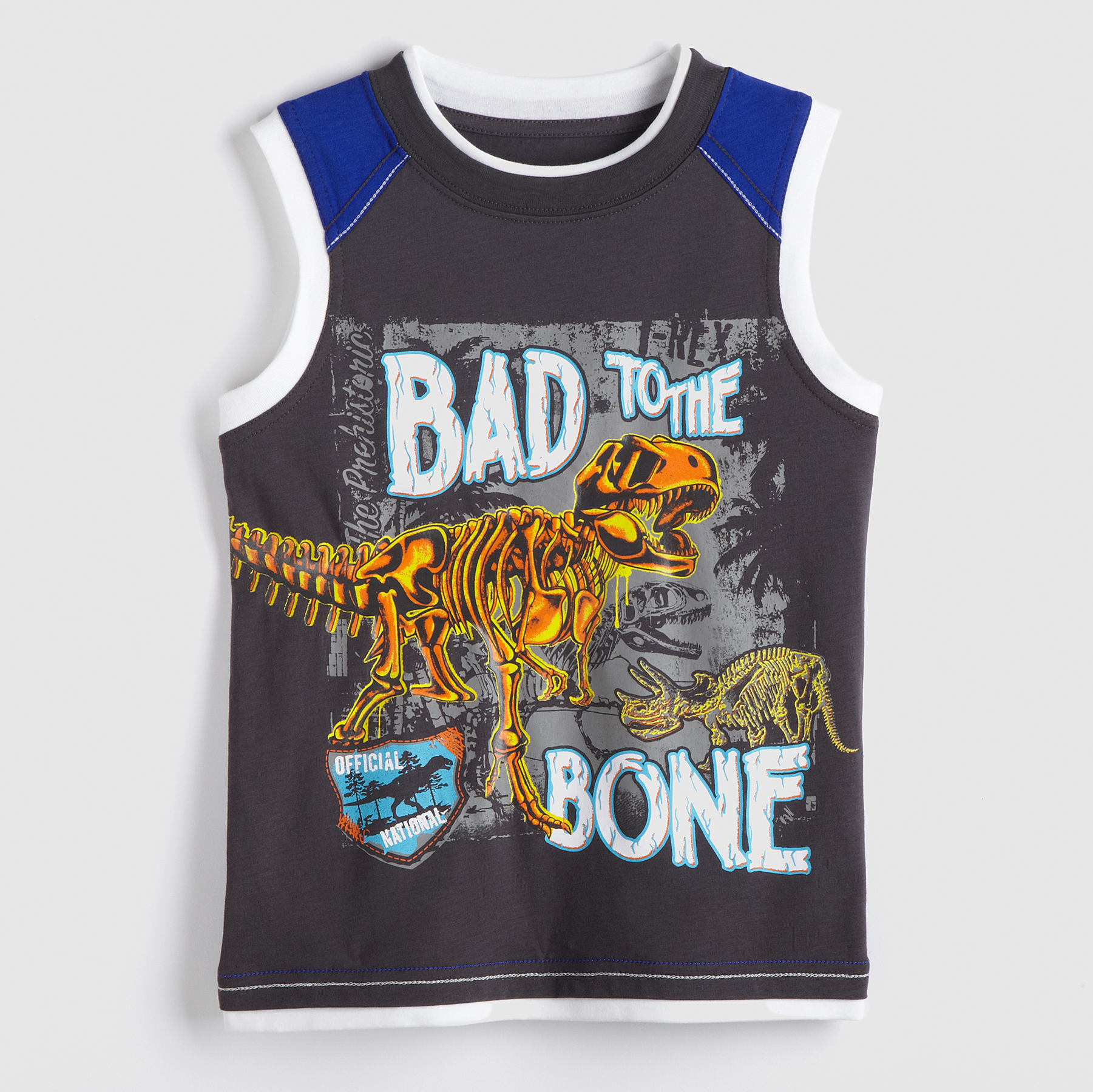 Toughskins Boy's Tank Top - Dinosaur at Sears.com