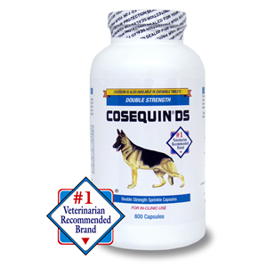 Nutramax Cosequin® DS Capsules, 800 Count at Kmart.com